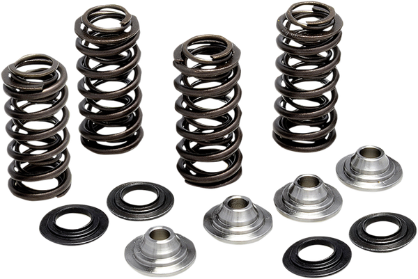 Replacement Spring Kit, 1, nordicamoto.ro