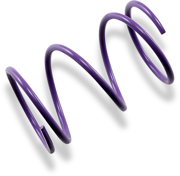 Secondary Clutch Spring Purple, 1, nordicamoto.ro