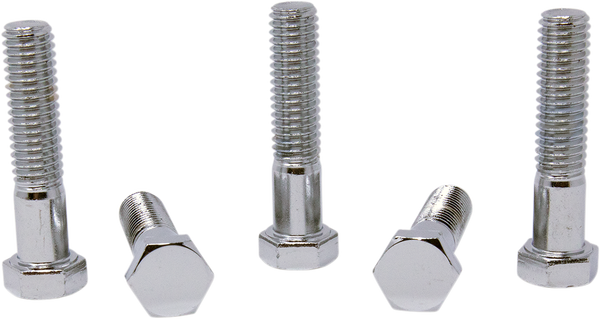 Replacement Hex-head Bolts Silver, 1, nordicamoto.ro