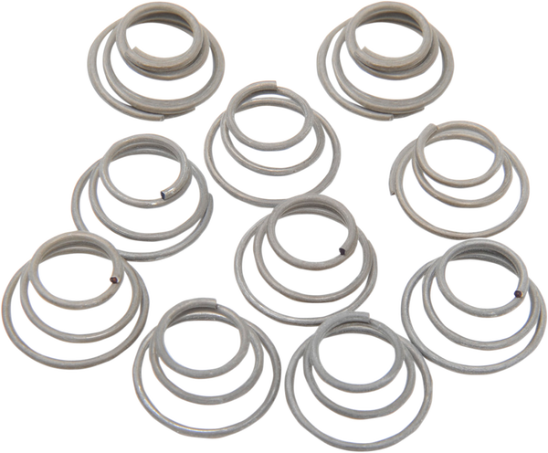 Hub Bearing Plate Retainer Springs, 1, nordicamoto.ro