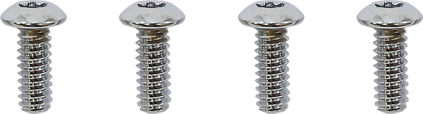 Switch Housing Screw Kit Silver, 1, nordicamoto.ro
