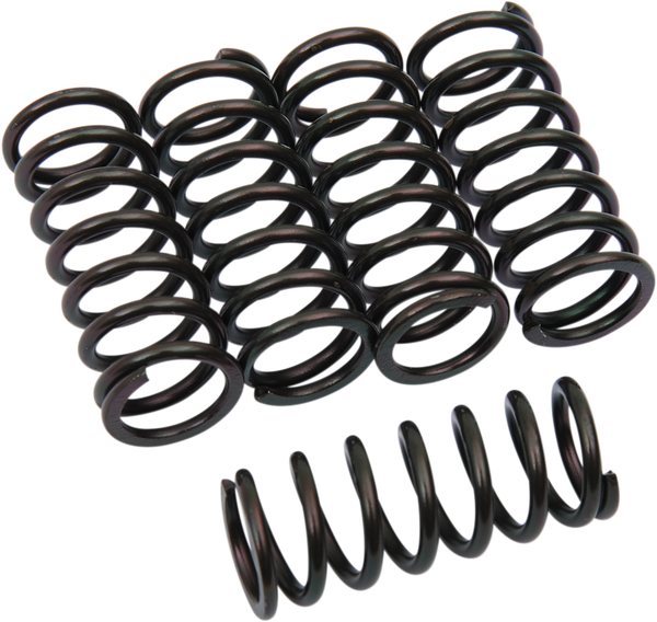 Clutch Spring Kit Black, 1, nordicamoto.ro