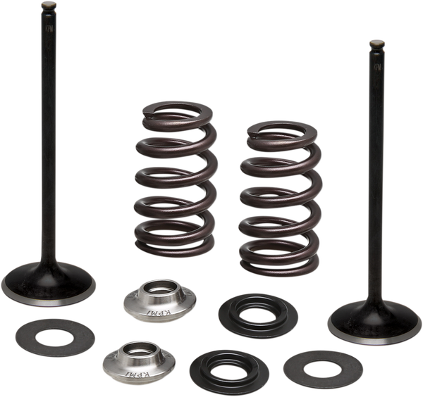 Stainless Steel Conversion Valve And Spring Kit, 1, nordicamoto.ro
