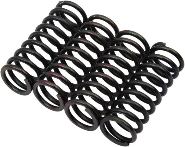 Clutch Spring Kit Black, 1, nordicamoto.ro