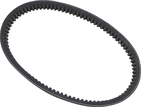 Standard Drive Belt Black, 2, nordicamoto.ro