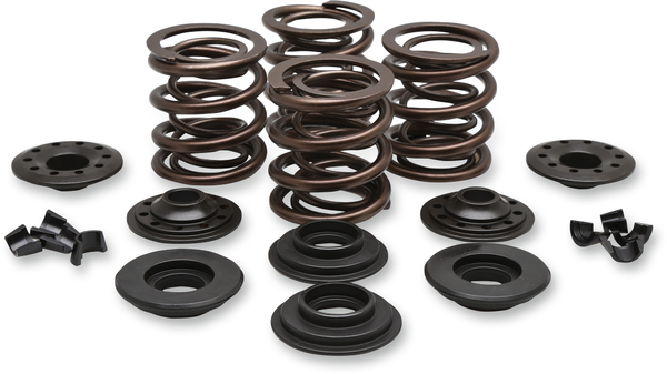 Complete Valve Spring Kit, 1, nordicamoto.ro
