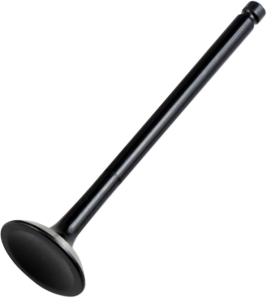 Replacement Valve Black, 1, nordicamoto.ro