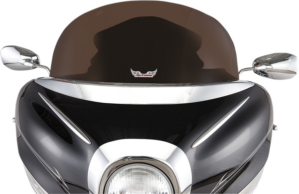 Replacement Lucite Windshield Gray, 1, nordicamoto.ro