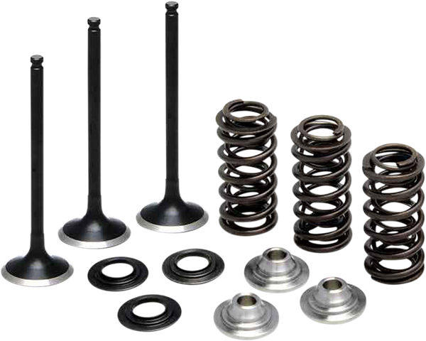 Stainless Steel Conversion Valve And Spring Kit, 1, nordicamoto.ro
