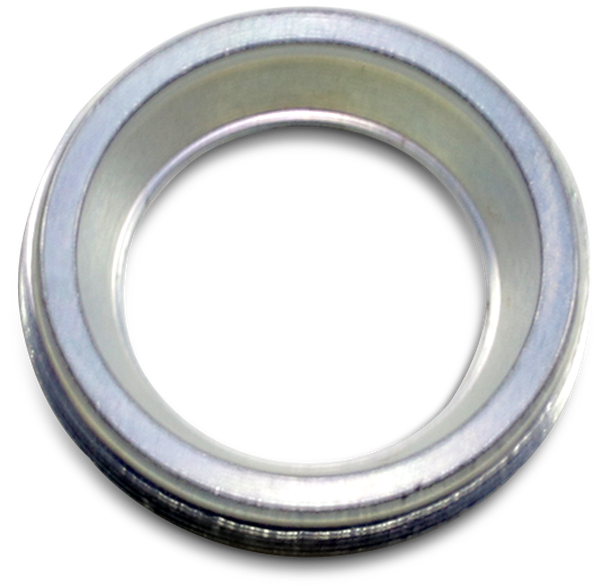 Swingarm Bearing Nuts Silver, 1, nordicamoto.ro