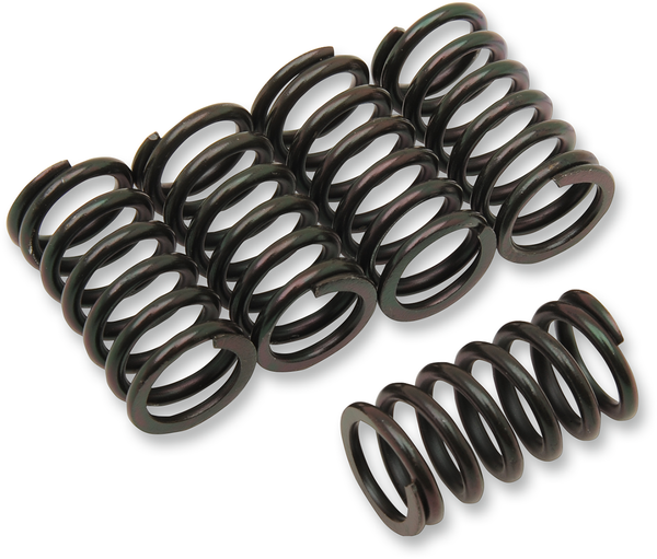 Clutch Spring Kit Black, 1, nordicamoto.ro