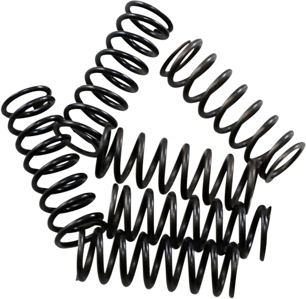 Hi-temp Clutch Spring Kit Steel, 1, nordicamoto.ro