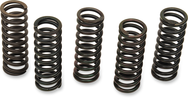 Clutch Spring Kit Black, 1, nordicamoto.ro