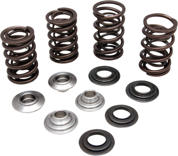Valve Spring Kit, 1, nordicamoto.ro