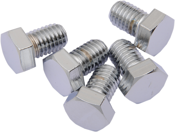 Replacement Hex-head Bolts Silver, 2, nordicamoto.ro