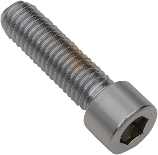 Replacement Socket Head Bolts Silver, 2, nordicamoto.ro