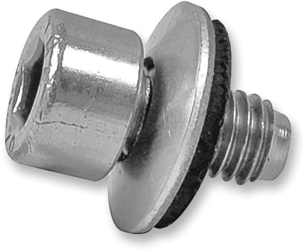 Nitrogen Valve Assembly Kit Silver, 1, nordicamoto.ro