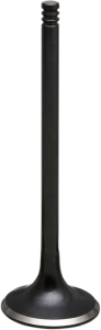 Nitrided Valve