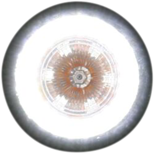Probeam® Universal Led Bullet Bezel Turn Signals Chrome