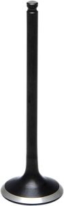 Black Diamond Engine Valve