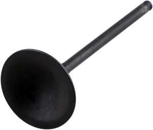 Black Diamond Engine Valve