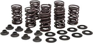 Valve Spring Kit