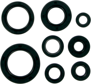Oil Seals