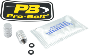 Valve Stem Cap Silver