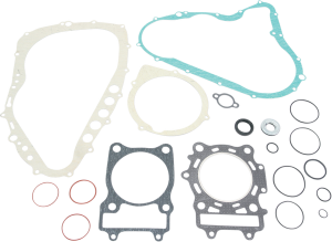 Complete Gasket And Oil Seal Kit