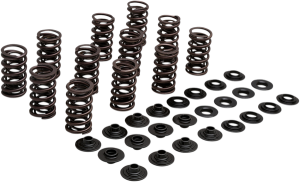Lightweight Racing Valve Spring Kit, 1, nordicamoto.ro