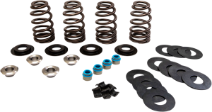 Beehive® Valve Spring Kit 