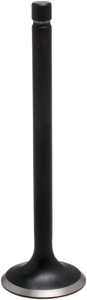 Black Diamond Engine Valve