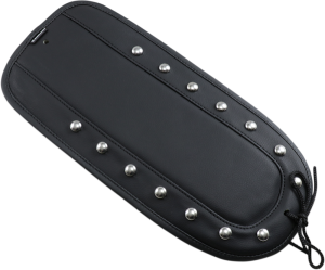 Fender Chap Black