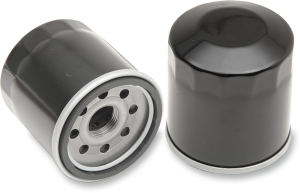 Oil Filter For Indian Black, 2, nordicamoto.ro
