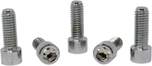 Replacement Socket Head Bolts Silver