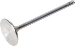 White Diamond Engine Valve