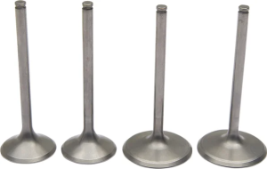 Pro Valve Kit 