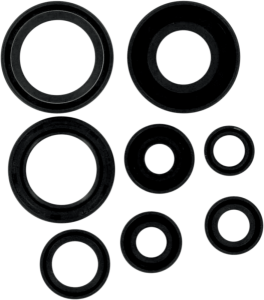 Oil Seals