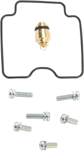 Economy Carburetor Repair Kit