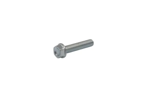 Bolt Silver 