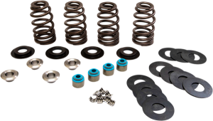 Beehive® Valve Spring Kit 