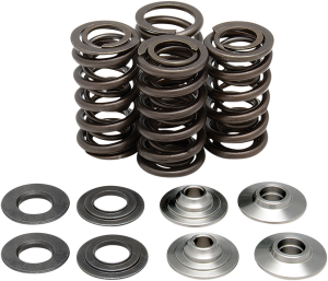 Valve Spring Kit, 1, nordicamoto.ro