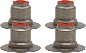 Premium Valve Seals
