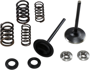 Stainless Steel Conversion Valve And Spring Kit, 1, nordicamoto.ro