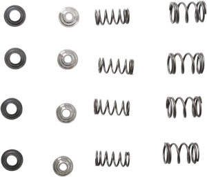 Valve Spring Kit