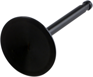 Nitrided Valve