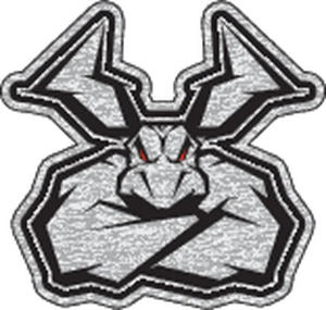 MOOSE RACING Moose Decal Black, Silver, 2, nordicamoto.ro