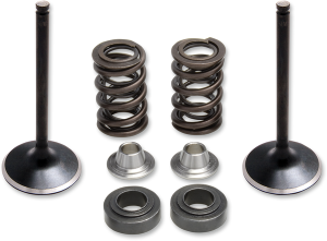 Valve Spring Kit, 1, nordicamoto.ro