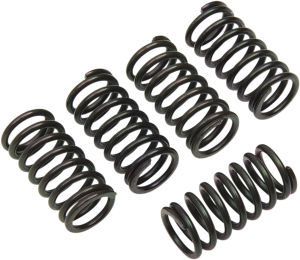 Clutch Spring Kit Black, 1, nordicamoto.ro