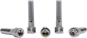 Replacement Socket Head Bolts Silver, 1, nordicamoto.ro